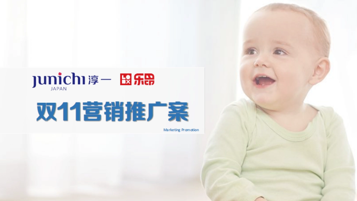 淳一双11营销方案_第1页