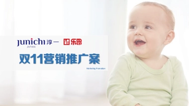 淳一双11营销方案