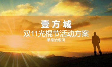 壹方城双11活动策划方案