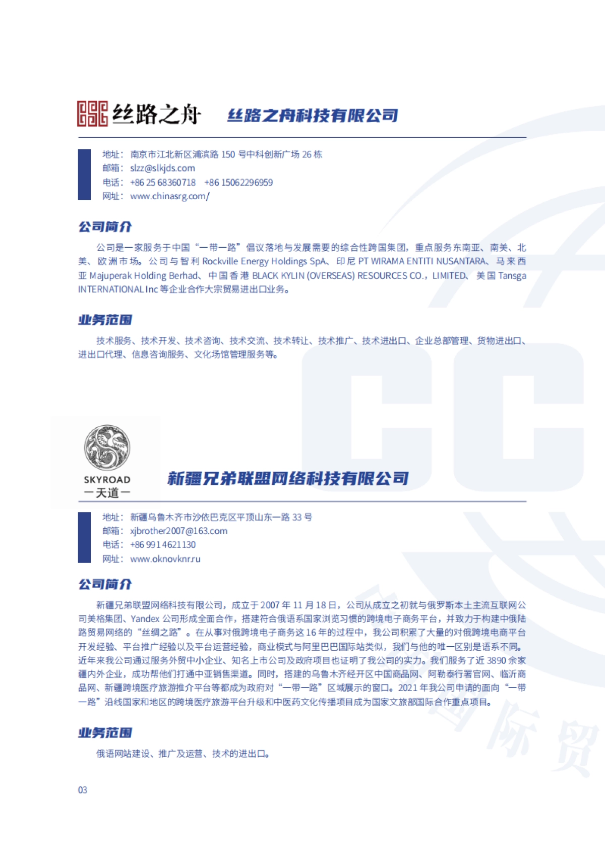 中国贸促会：2023跨境电商重点联系企业名录_第8页