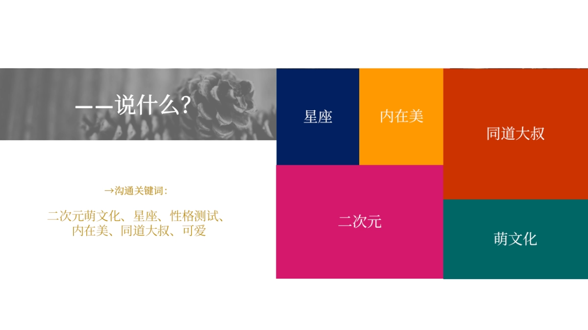 欧诗漫化妆品双11传播方案_第5页