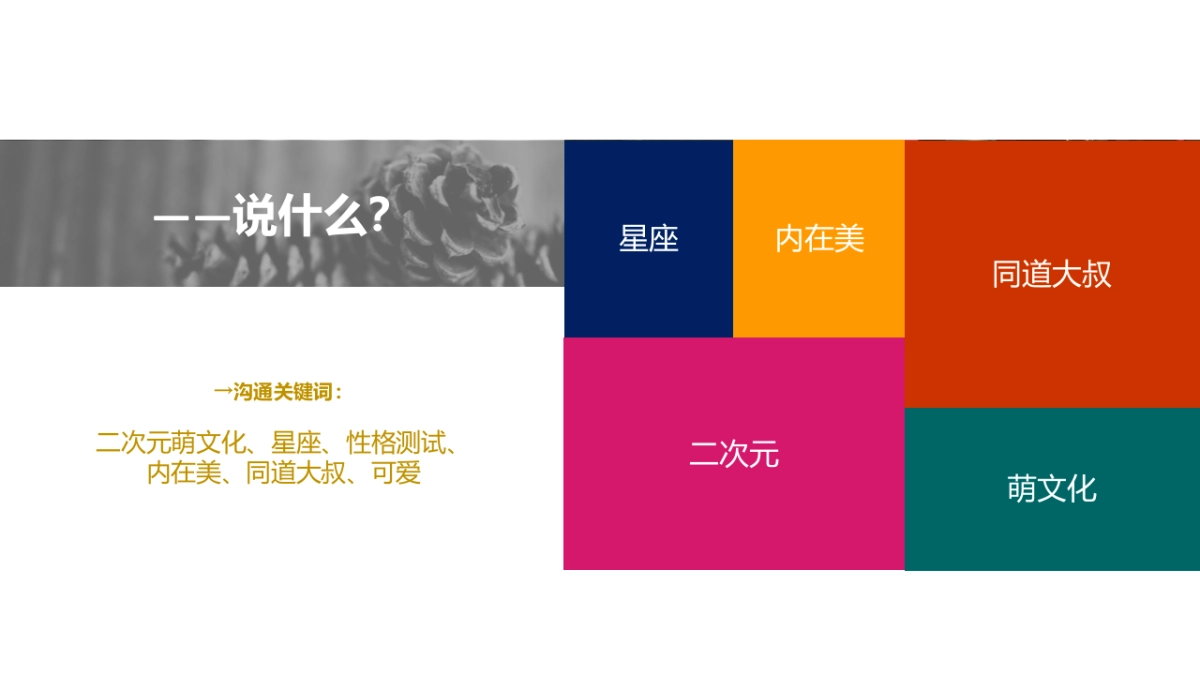 欧诗漫双11传播方案_第5页