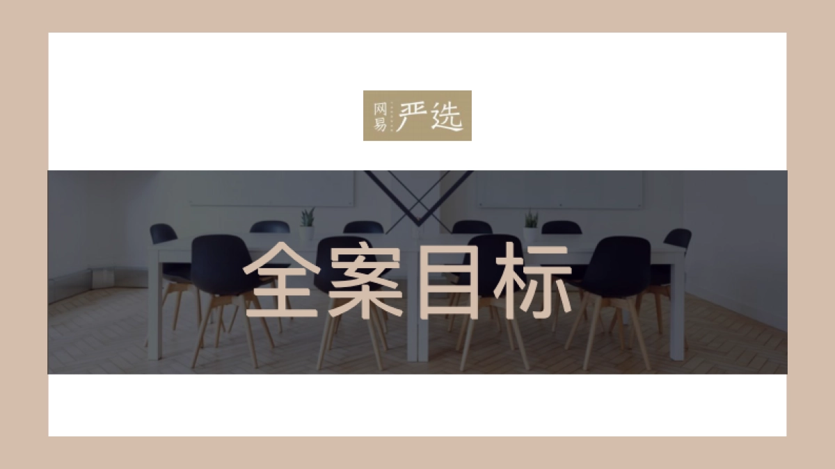 网易618活动推广方案_第2页