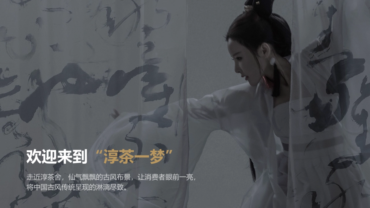 淳茶舍线下活动推广方案_第8页