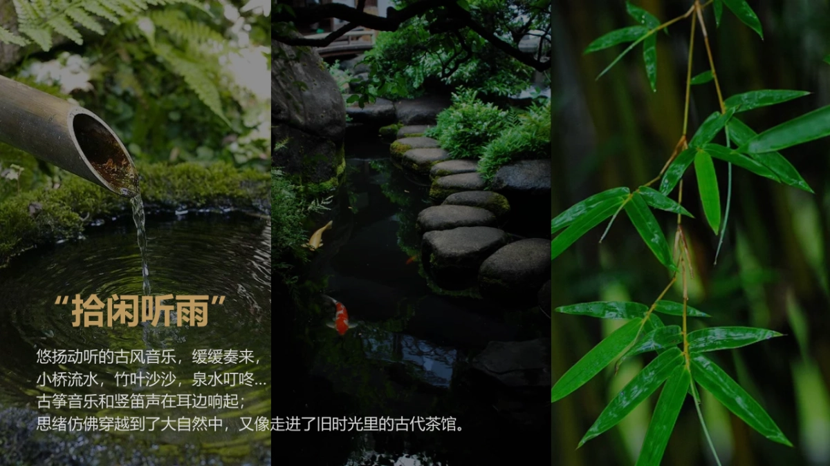 淳茶舍线下活动推广方案_第9页