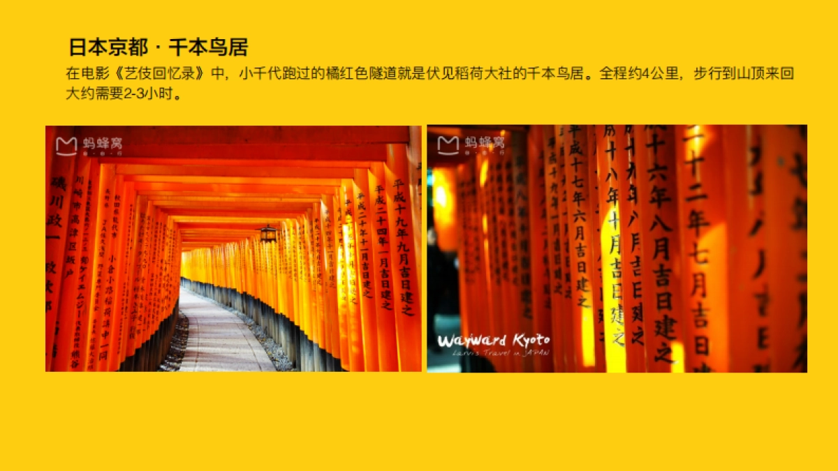 攻略全世界网红墙线下方案_第8页