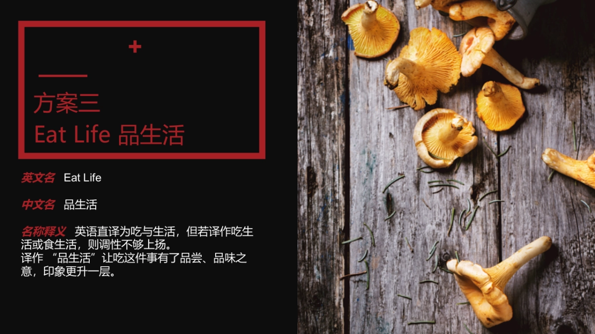 中山骏德线下实体品牌命名方案_第4页