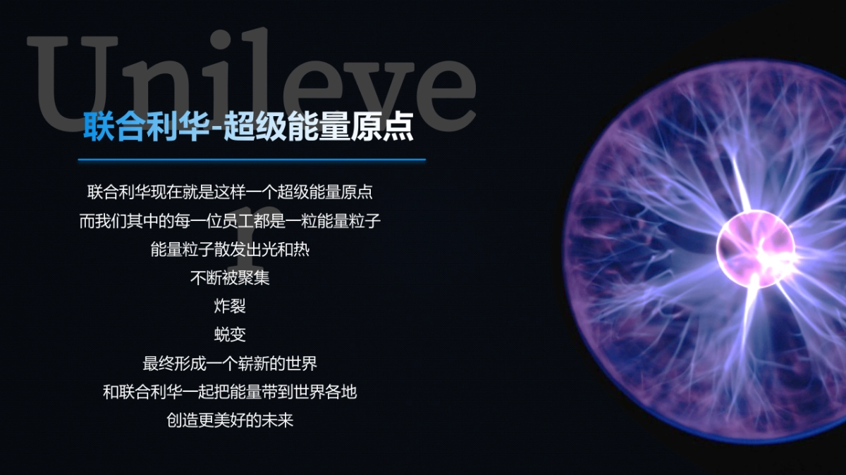 2017联合利华西区CEM会议方案_第8页