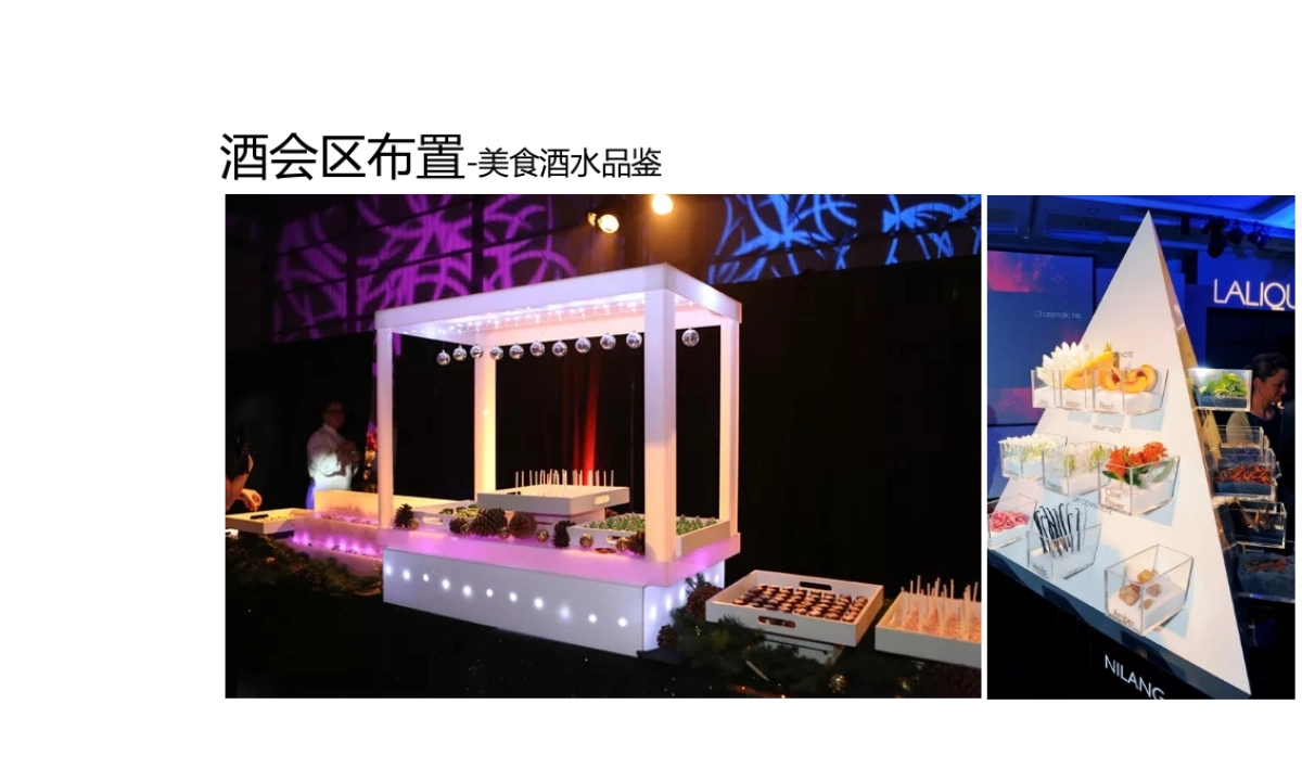 2017龙光世纪海岸首批业主私享会思路案_第8页