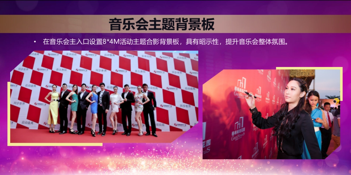 2017龙舟文化艺术节羊台山森林流行音乐会策划案_第10页