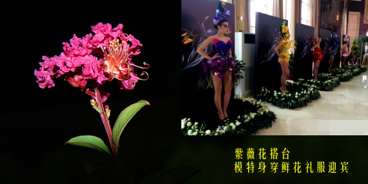 2017绿城紫微公馆客户答谢会策划案_第8页