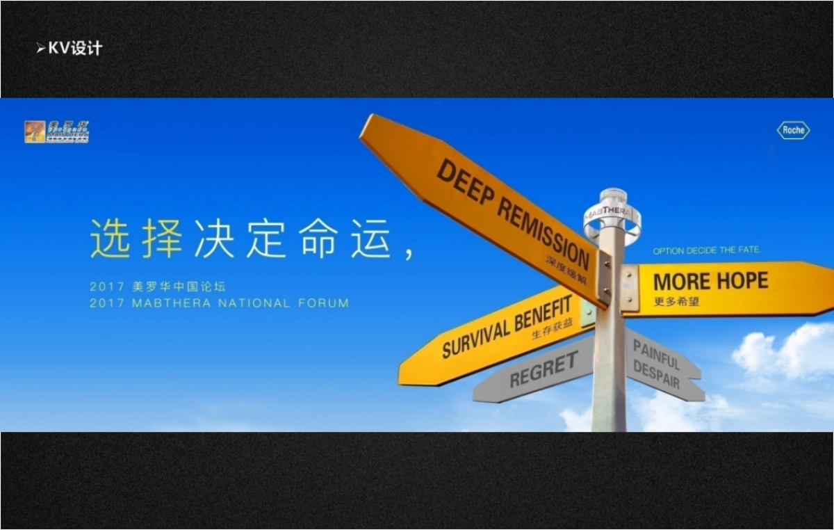 2017美罗华全国论坛-简化版_第10页