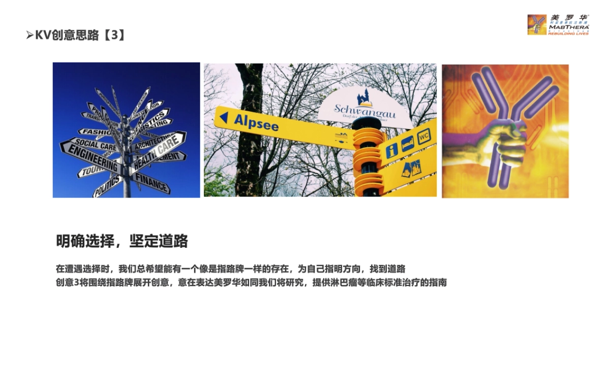 2017美罗华全国论坛-简化版_第9页