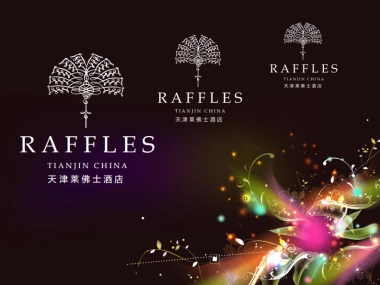 2010天津莱佛士圣诞晚会策划案-45P