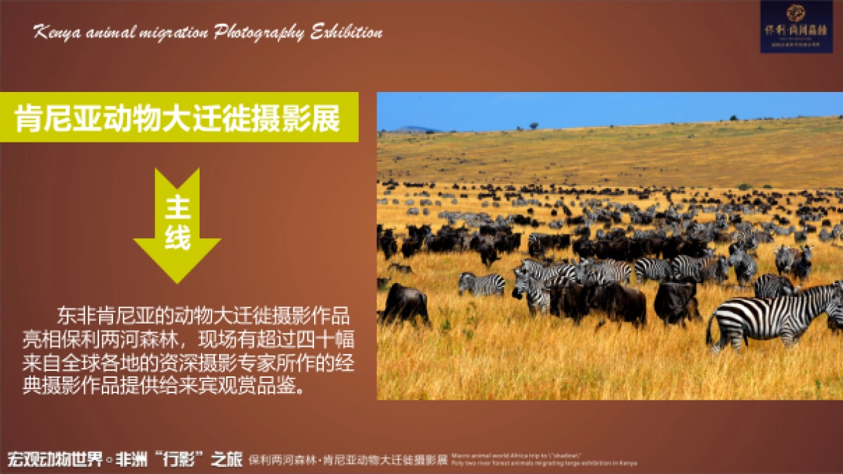 2017保利花园肯尼亚动物大迁徙摄影展活动方案_第4页