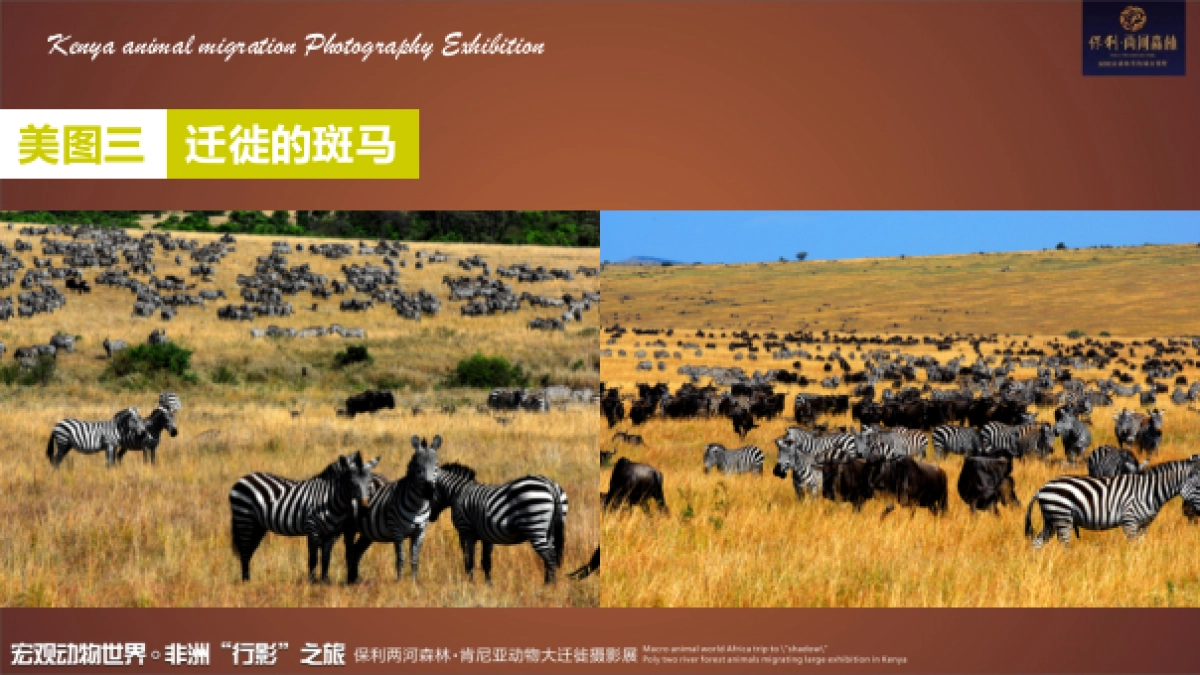 2017保利花园肯尼亚动物大迁徙摄影展活动方案_第7页