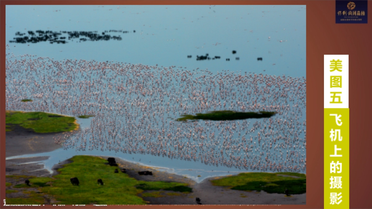 2017保利花园肯尼亚动物大迁徙摄影展活动方案_第9页