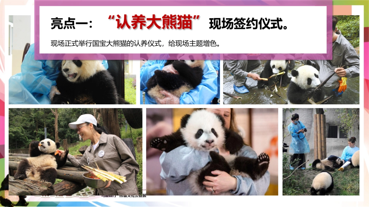 2017保利狮子湖熊猫文化公益展策划案_第8页