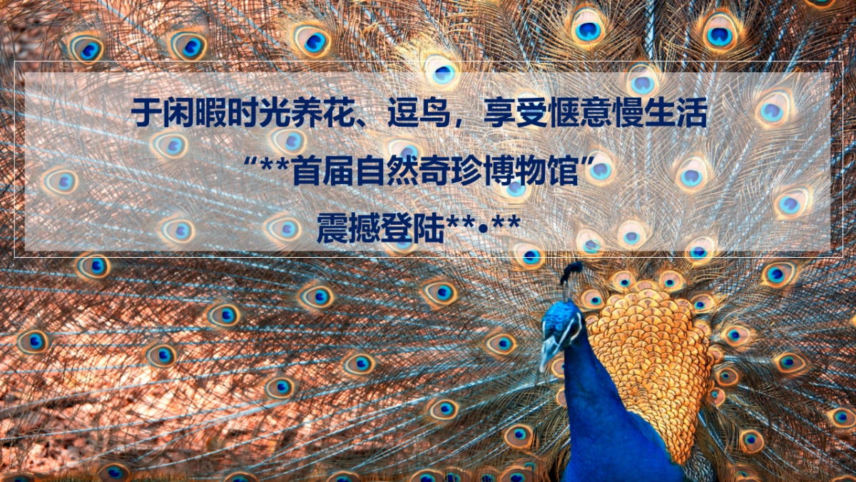 2017春季孔雀百鸟展策划案_第4页