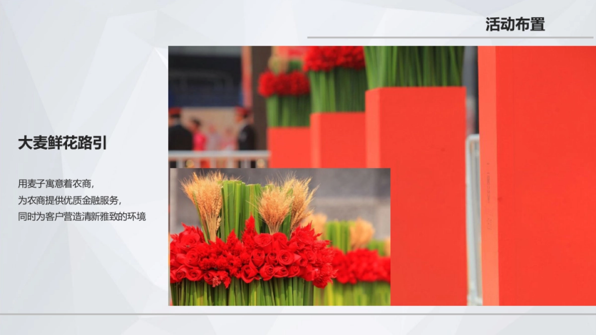 2017惠农金融家创新联盟成立大会策划案_第6页