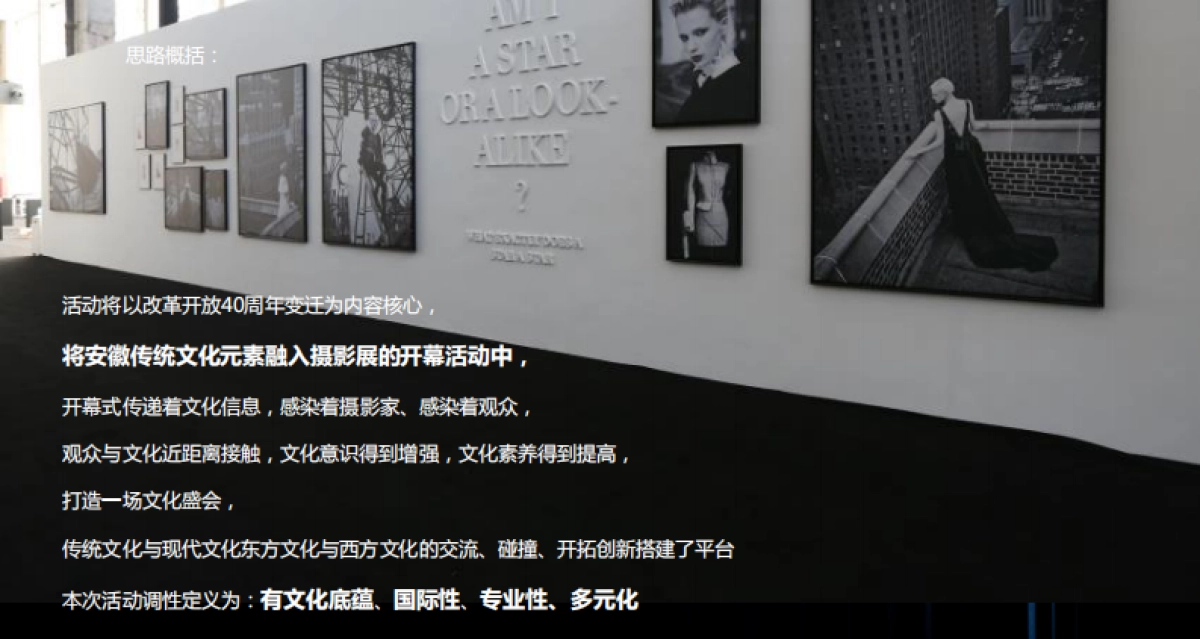2018年中国·合肥首届国际摄影展_第5页