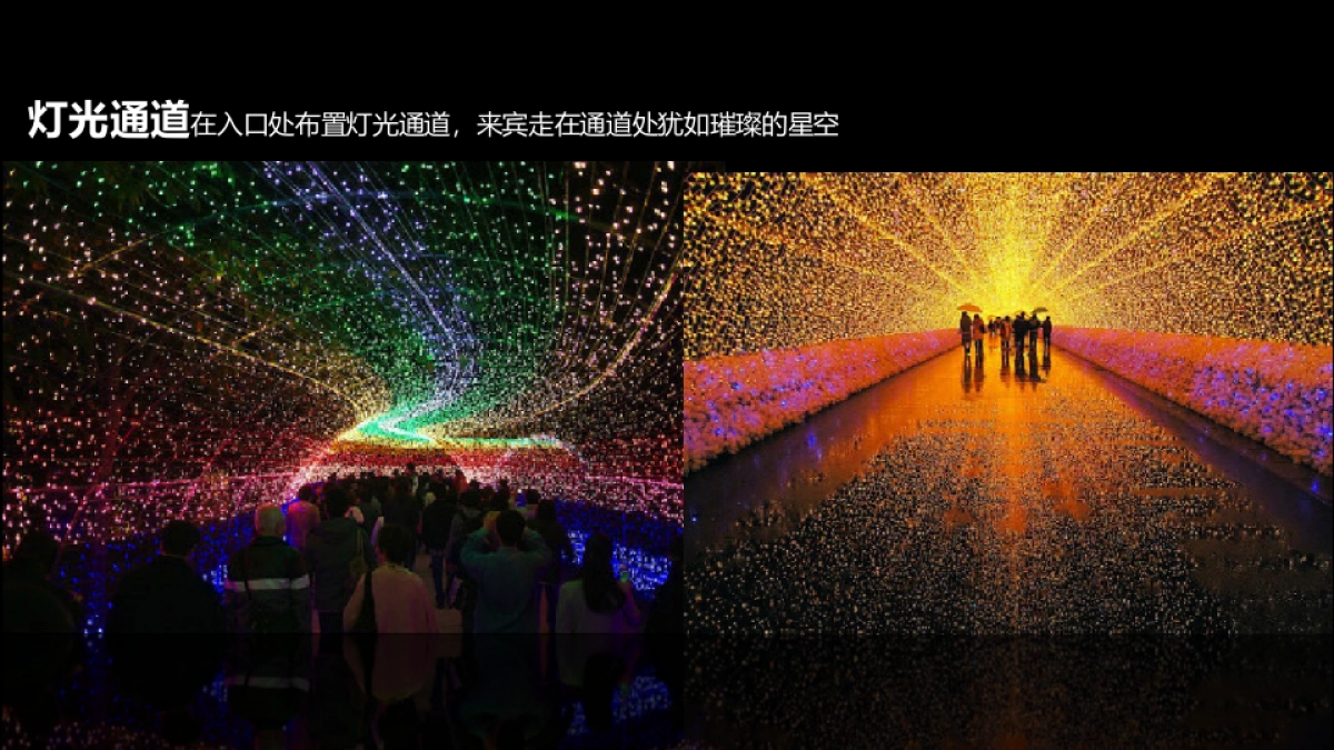 2017中粮国宾官邸夏季灯光展策划案_第6页