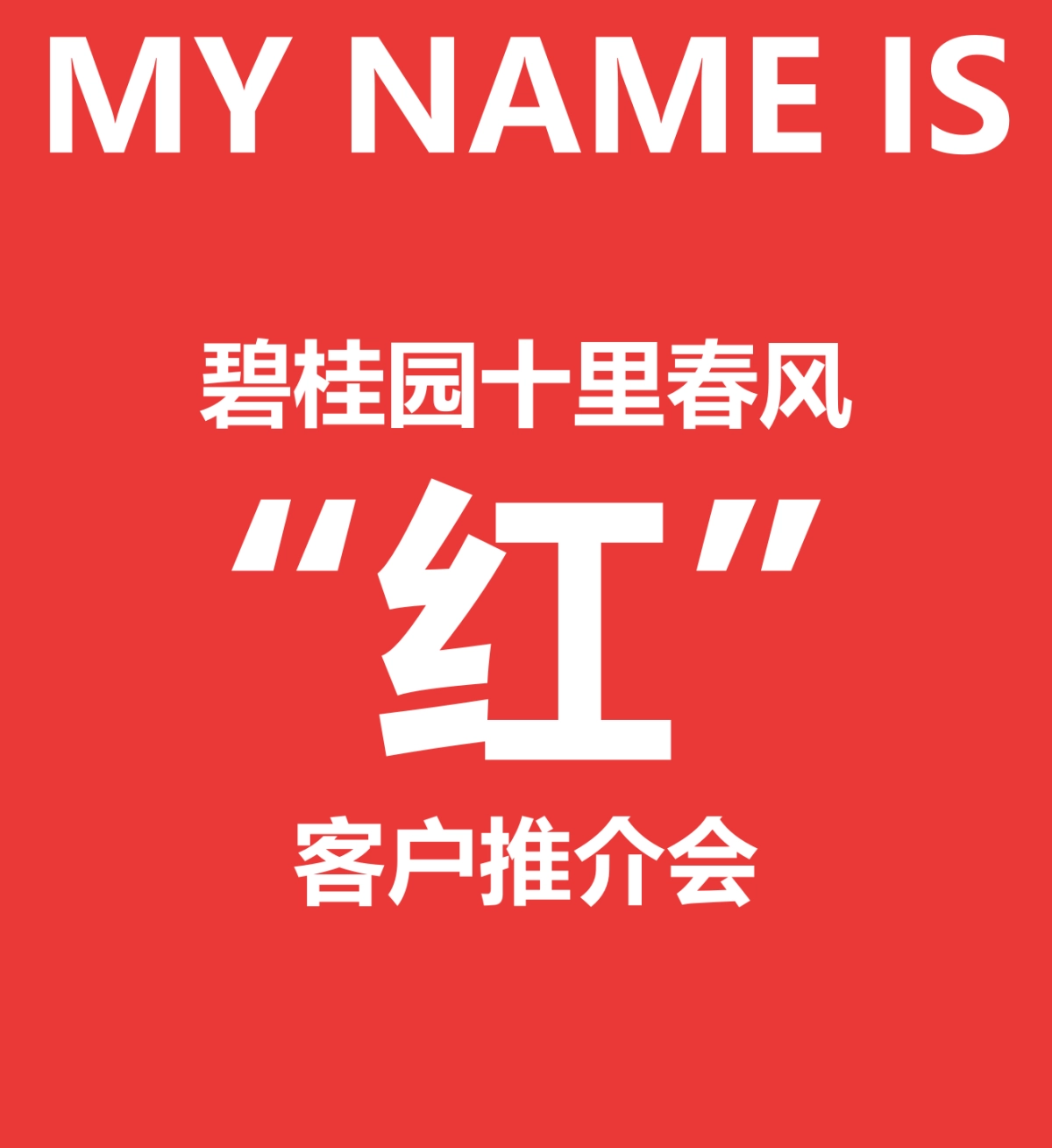 2018碧桂园十里春风红客户推介会策划案_第10页