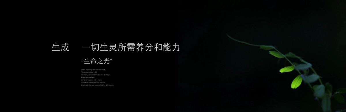 2018博地影秀城互动装置艺术展主题活动概念案_第7页