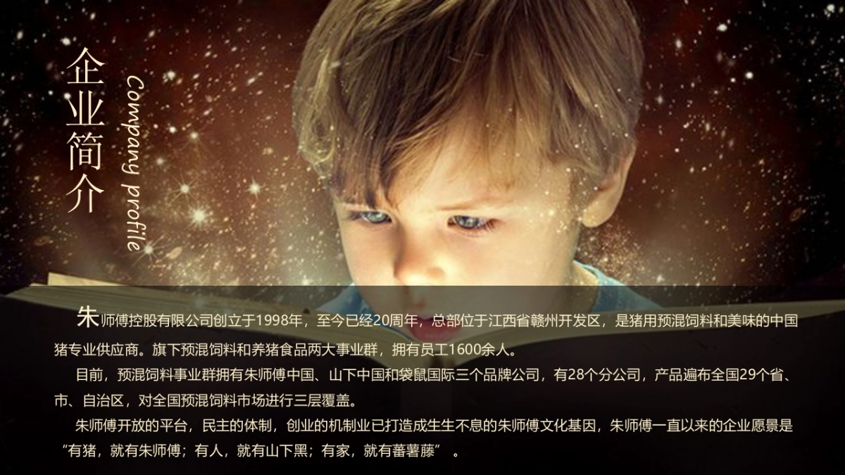 2018赣州朱师傅春节联欢晚会盛典策划案_第4页