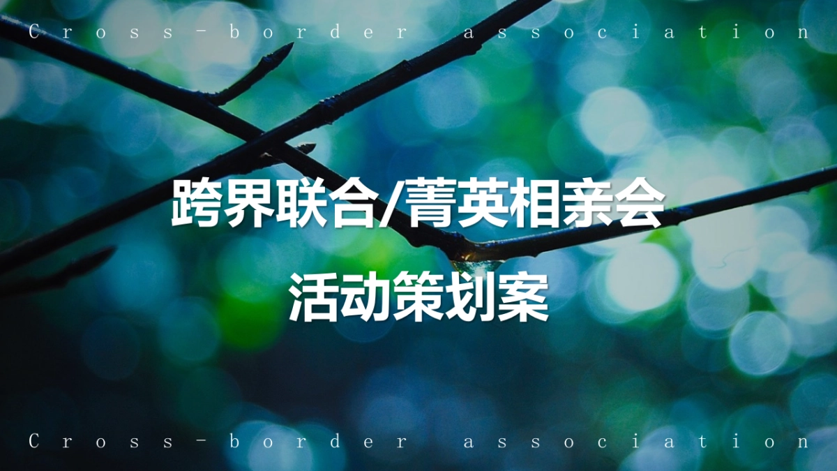 2018跨界联合菁英相亲会活动策划方案_第1页