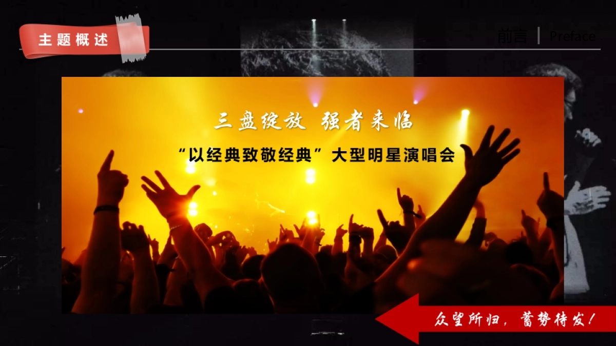 2018置信集团大型明星演唱会筹备思路及建议方案_第4页