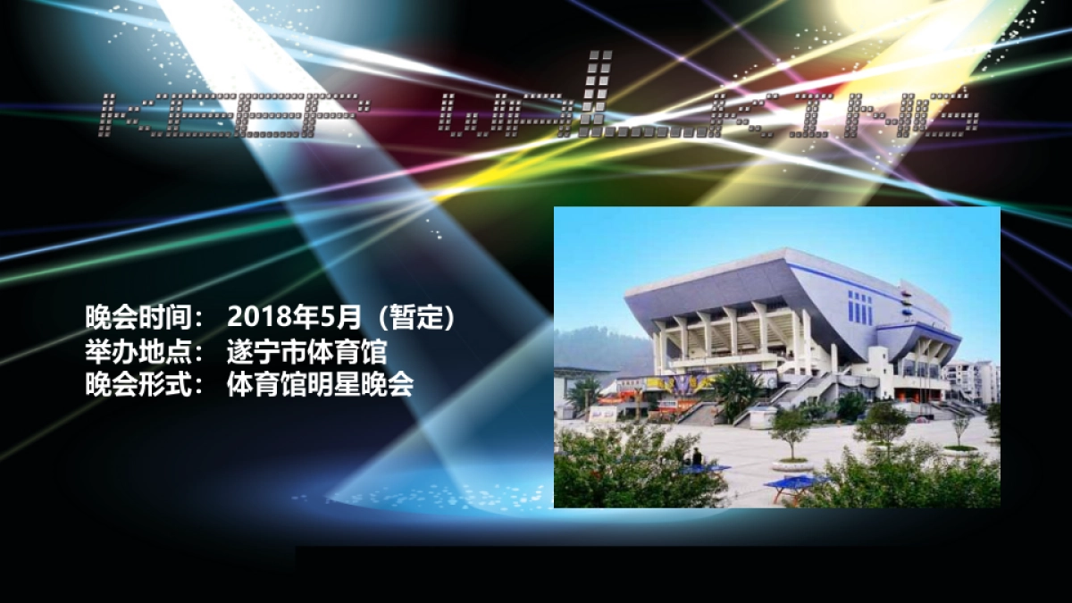 2018置信集团大型明星演唱会筹备思路及建议方案_第6页