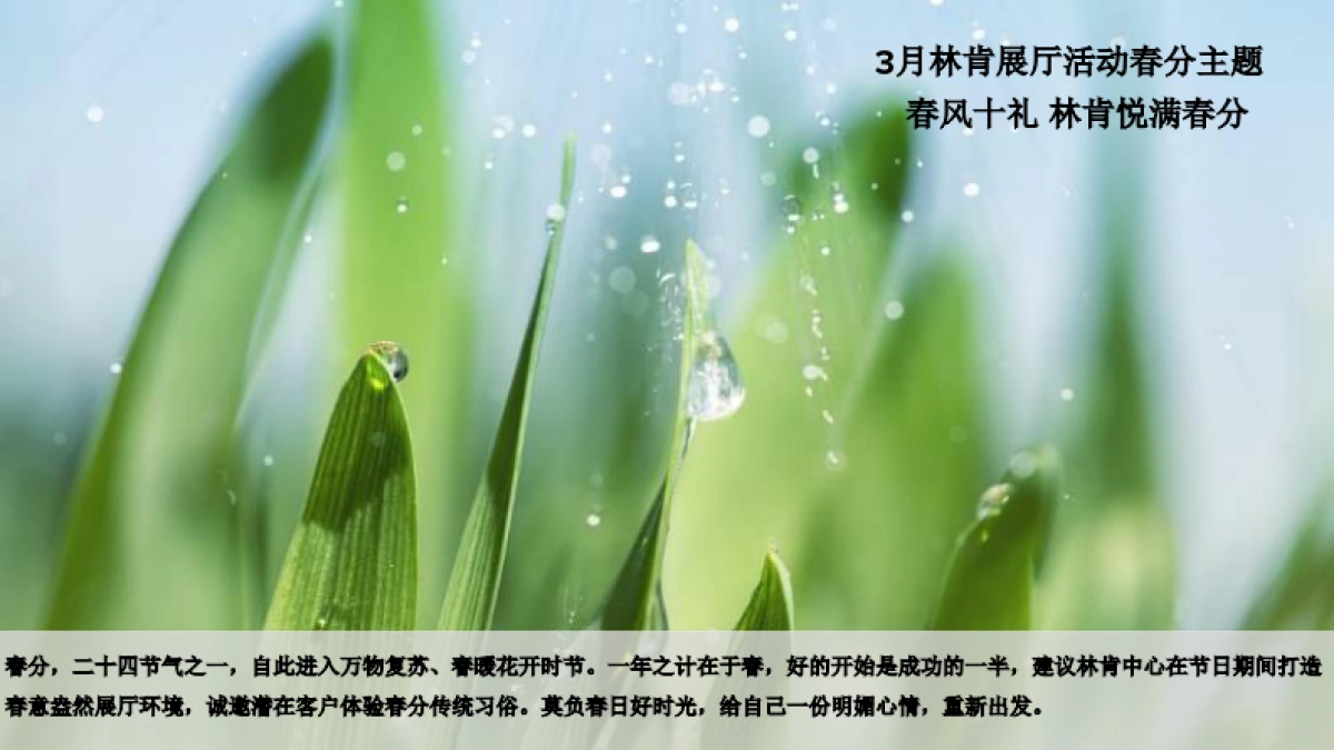 2019年3月林肯经销商展厅活动方案_第8页