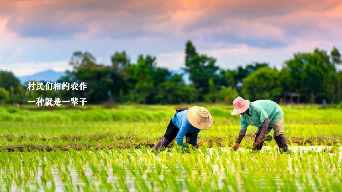 2020地区丰收节暨党建引领乡村振兴高峰论坛“天府农博 乐享生活”活动策划方案_第2页