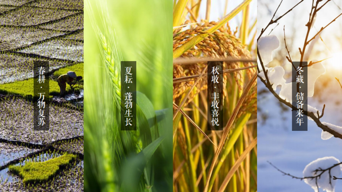 2020地区丰收节暨党建引领乡村振兴高峰论坛“天府农博 乐享生活”活动策划方案_第3页