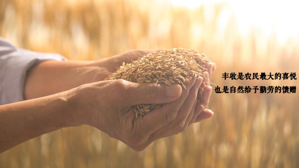 2020地区丰收节暨党建引领乡村振兴高峰论坛“天府农博 乐享生活”活动策划方案_第4页