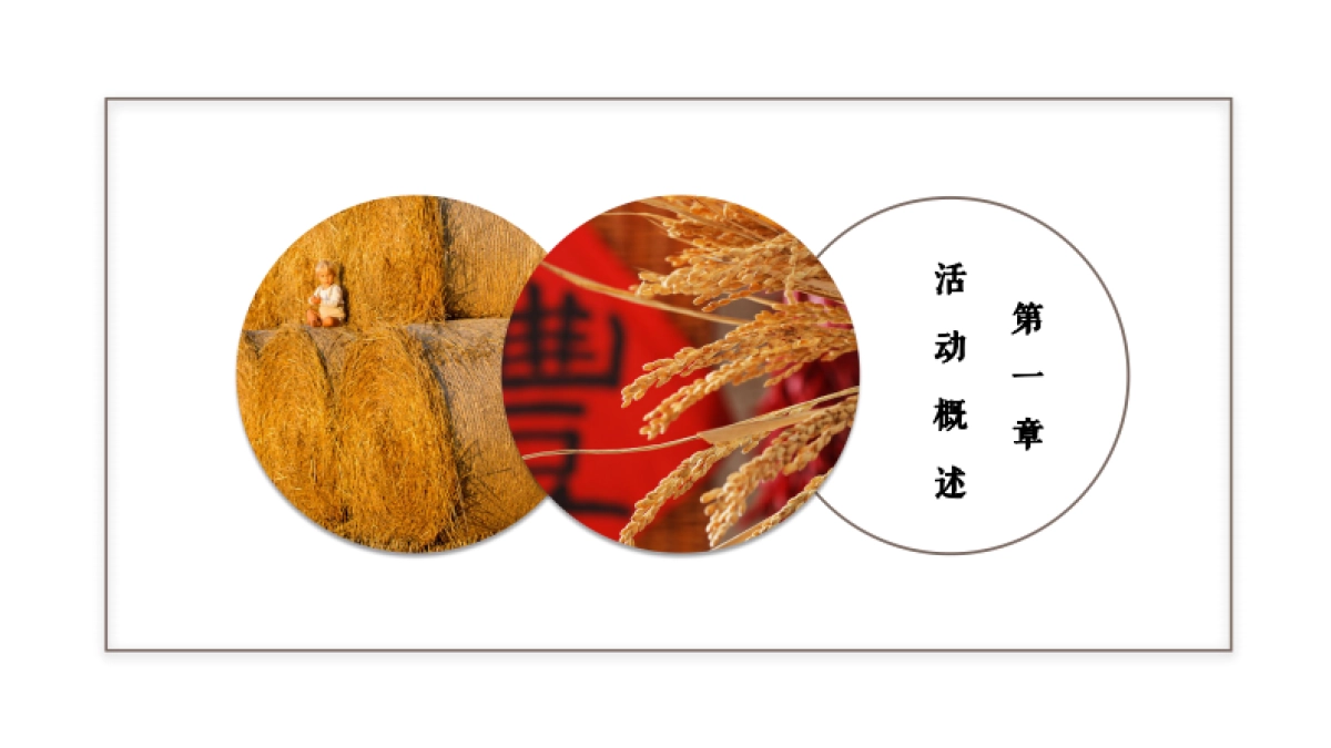 2020地区丰收节暨党建引领乡村振兴高峰论坛“天府农博 乐享生活”活动策划方案_第7页