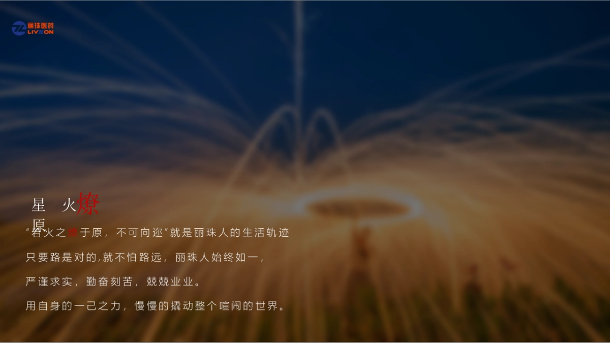 2020丽珠医疗集团颁奖盛典暨新新春晚会“英雄国风主题”活动策划方案_第10页