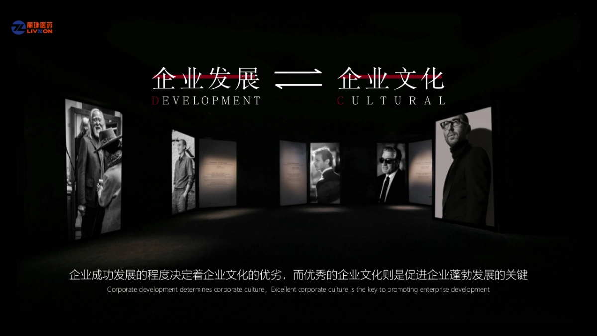 2020丽珠医疗集团颁奖盛典暨新新春晚会“英雄国风主题”活动策划方案_第6页