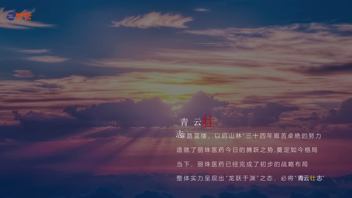 2020丽珠医疗集团颁奖盛典暨新新春晚会“英雄国风主题”活动策划方案_第9页