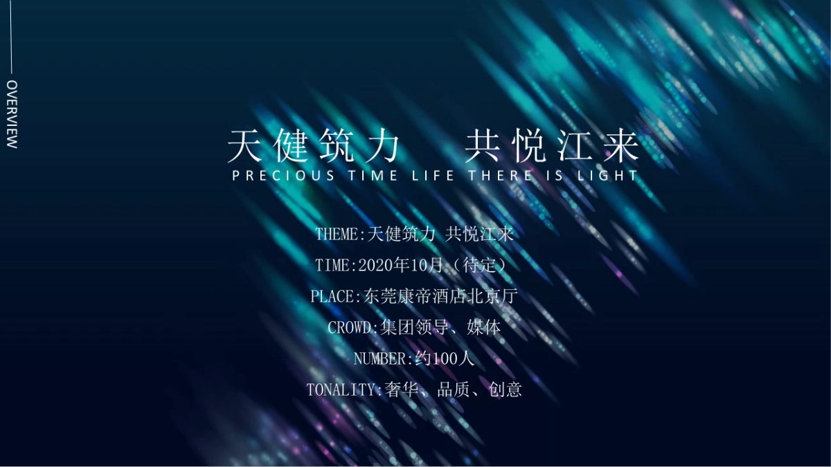 2020天健·阅江来媒体见面会策划案_第10页