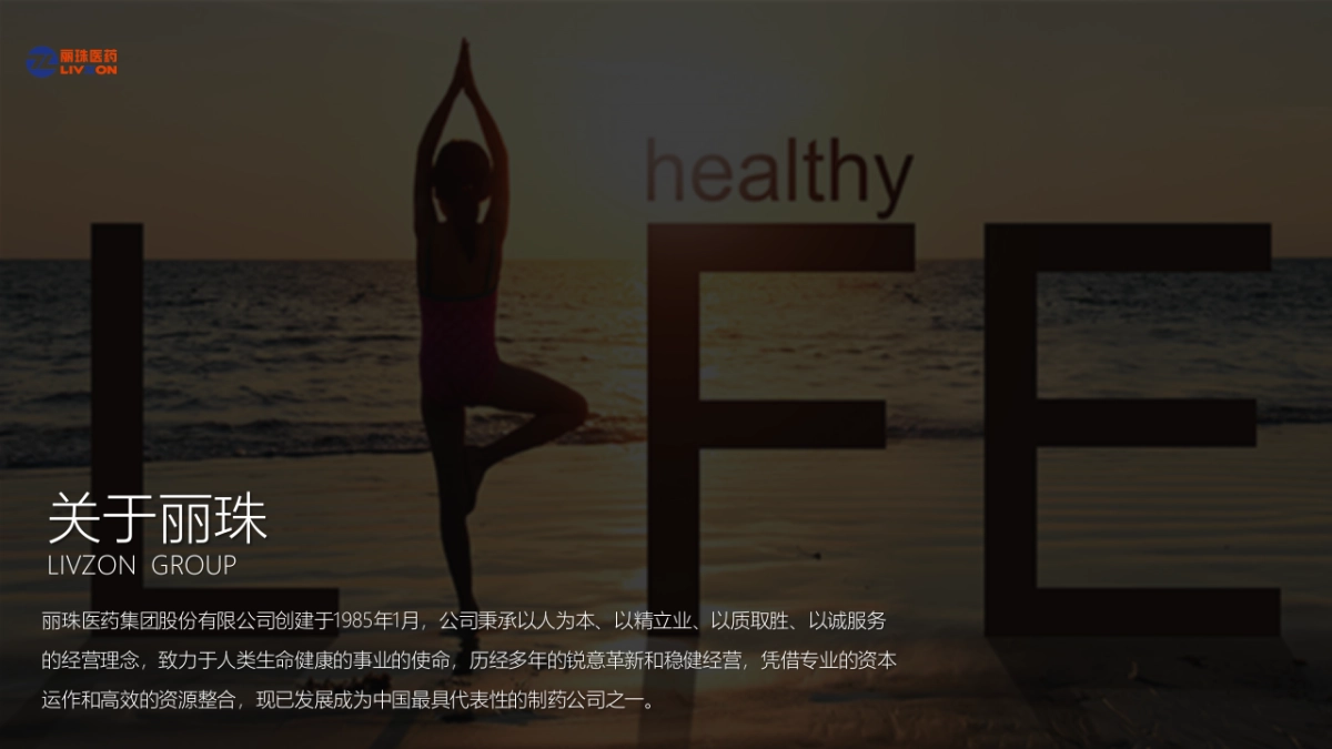 2020医疗集团颁奖盛典暨新新春晚会“英雄国风主题”活动策划方案_第4页