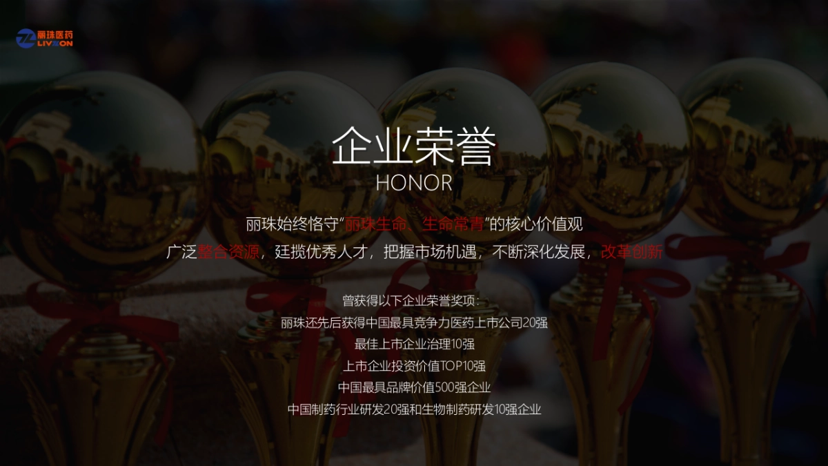 2020医疗集团颁奖盛典暨新新春晚会“英雄国风主题”活动策划方案_第5页