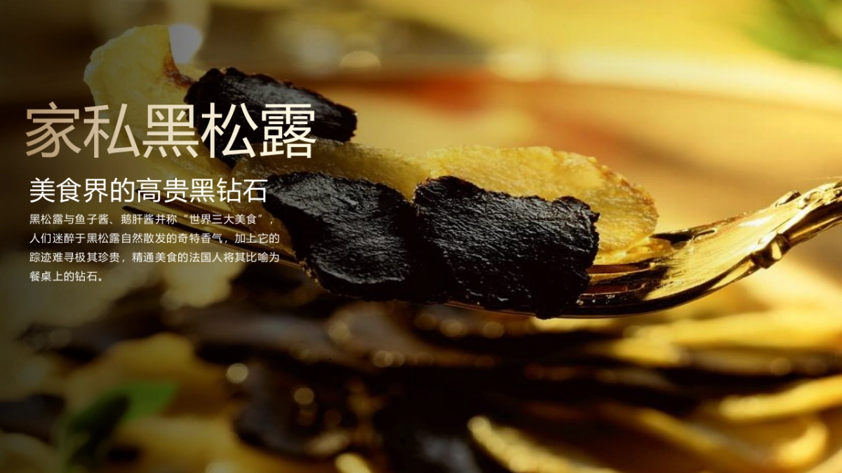 2021公园壹号高定生活体验暨卡地亚珍宝艺术展活动策划方案(奢侈品)-38P_第7页