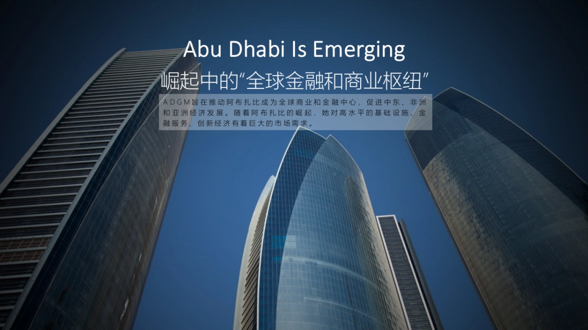 阿布扎比国际金融中心开幕式及论坛策划案_第5页