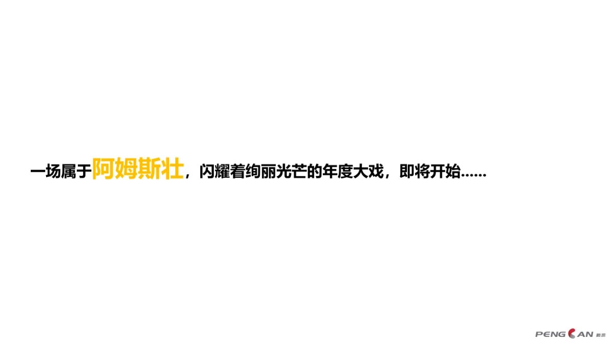 阿姆斯壮2018经销商大会策划方案_第6页