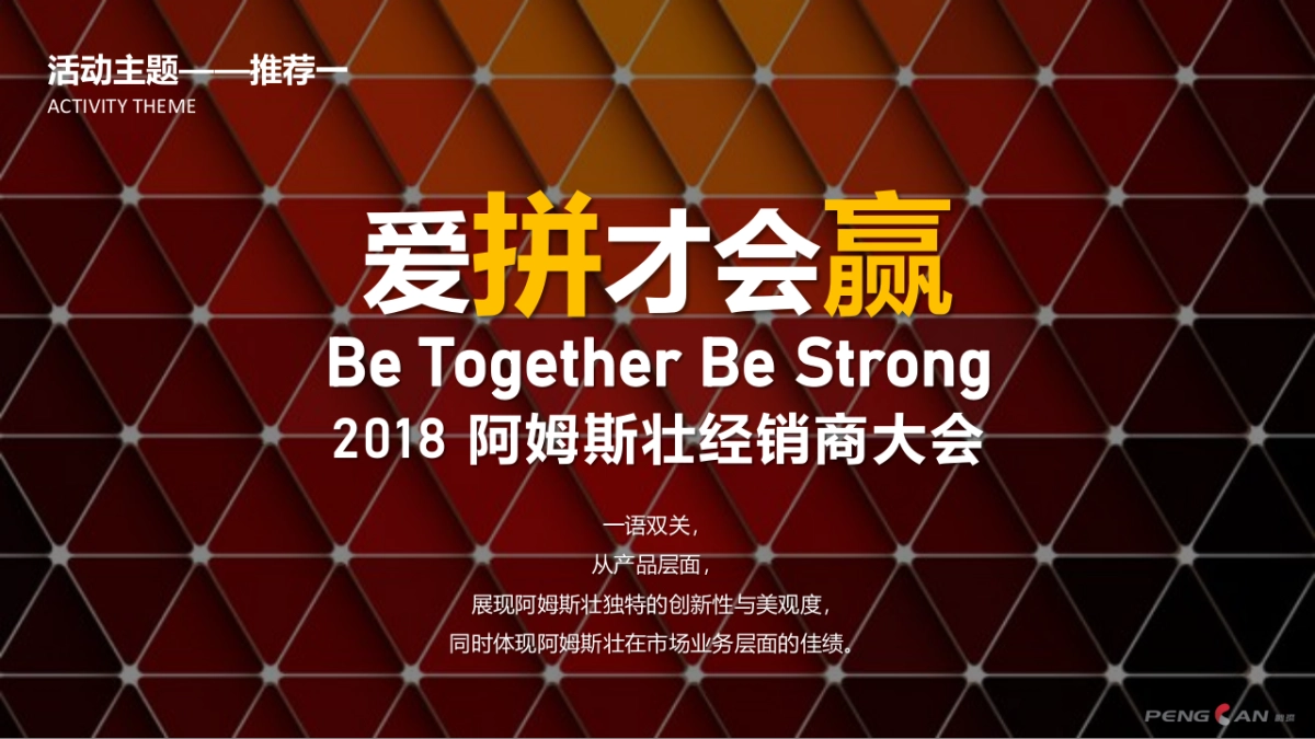 阿姆斯壮2018经销商大会策划方案_第8页