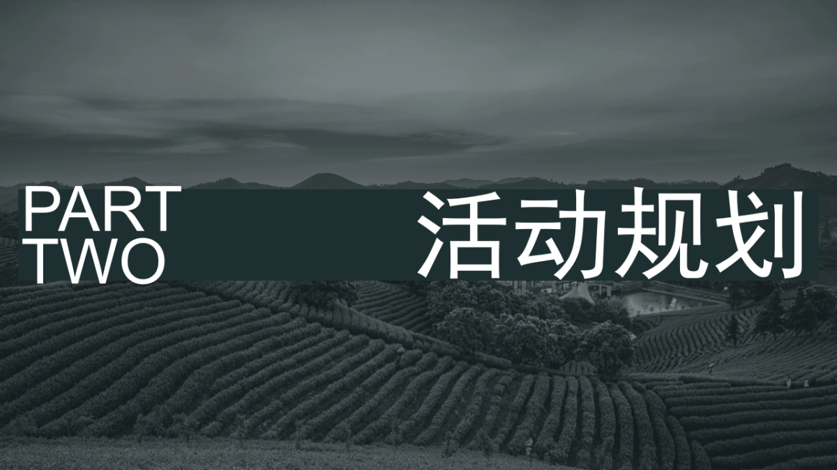 安吉白茶节 茶叶露营大会_第10页