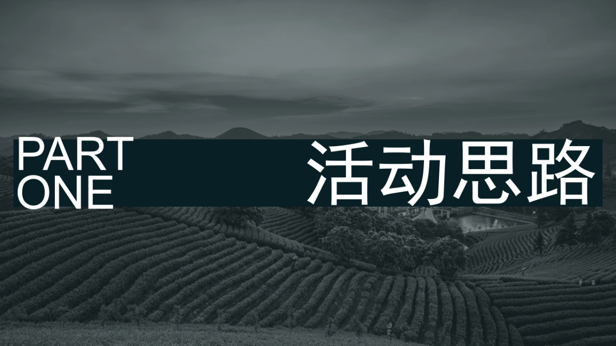 安吉白茶节 茶叶露营大会_第3页