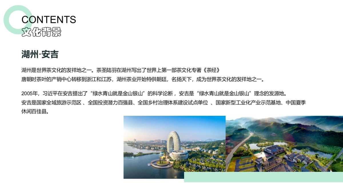 安吉白茶节 茶叶露营大会_第4页